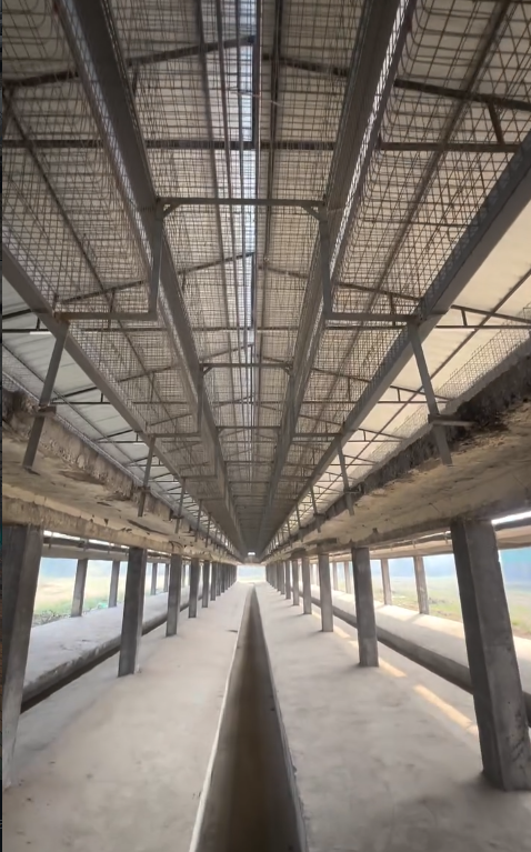 Tech Driven Hatchery