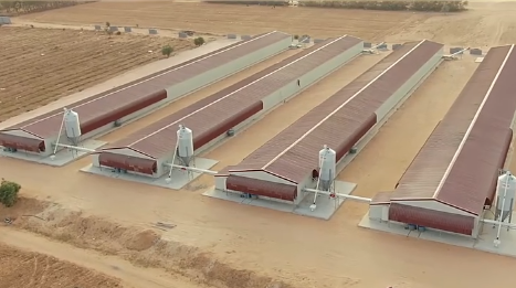 Automatic Farmhouses: Redefining Modern Agriculture