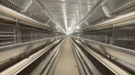 Automatic Farmhouses: Redefining Modern Agriculture