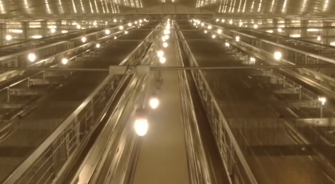 Automatic Farmhouses: Redefining Modern Agriculture