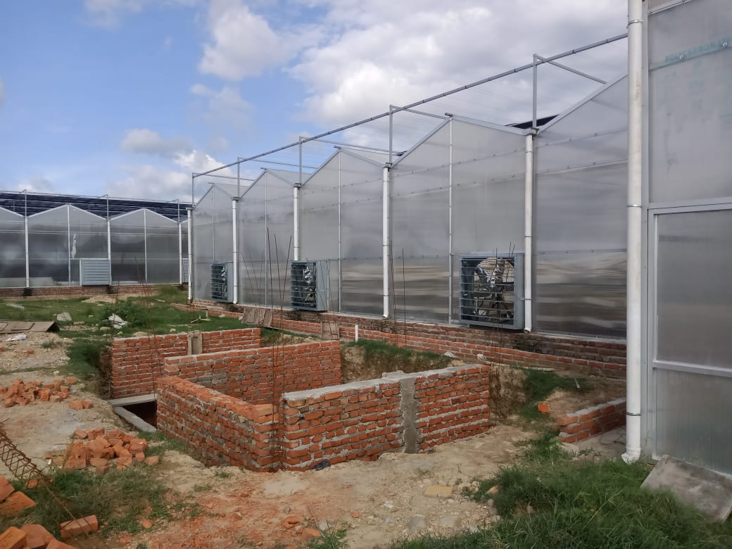 Precision Green House