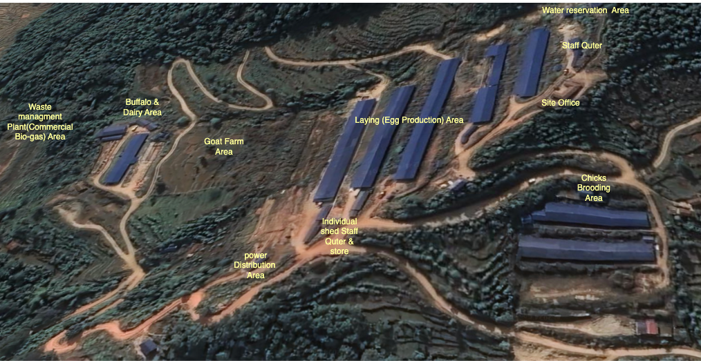 Layers Farm Lamjung (20000 Layers)