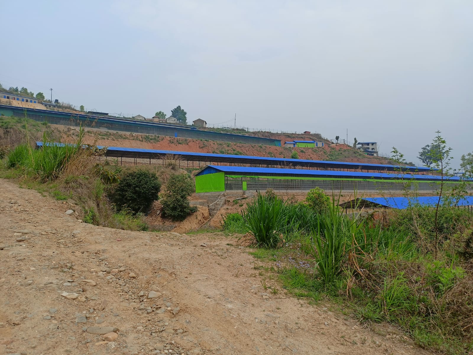 Layers Farm Lamjung (20000 Layers)