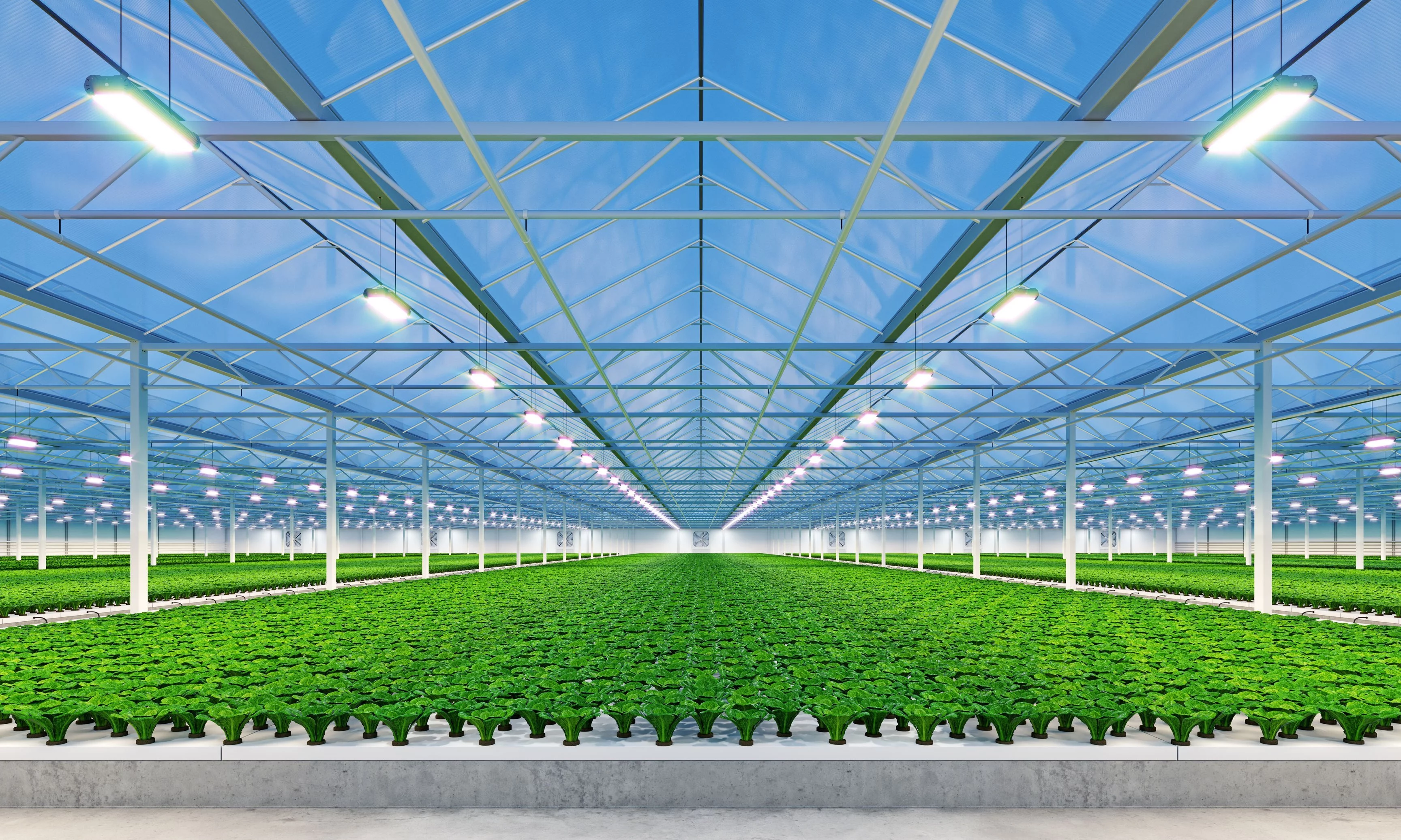 Greenhouse